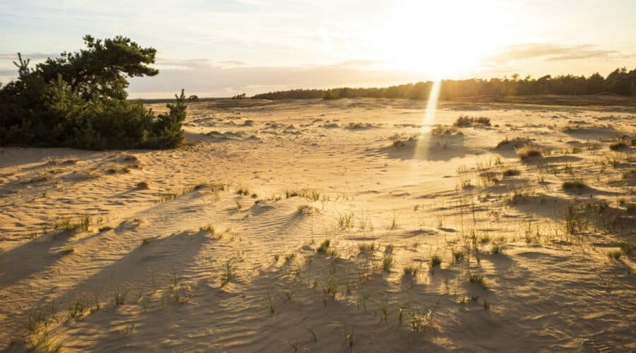 Uitkijktoren Kootwijkerzand