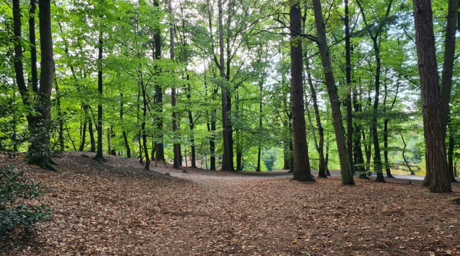 Kom tot rust op de lunchrooms van Amersfoort