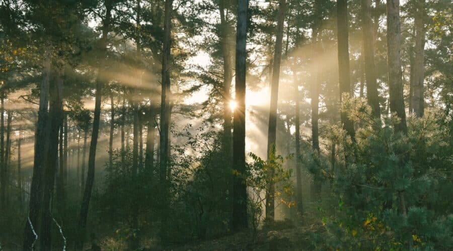Uitkijktoren de Kaap: Een adembenemend natuuricoon