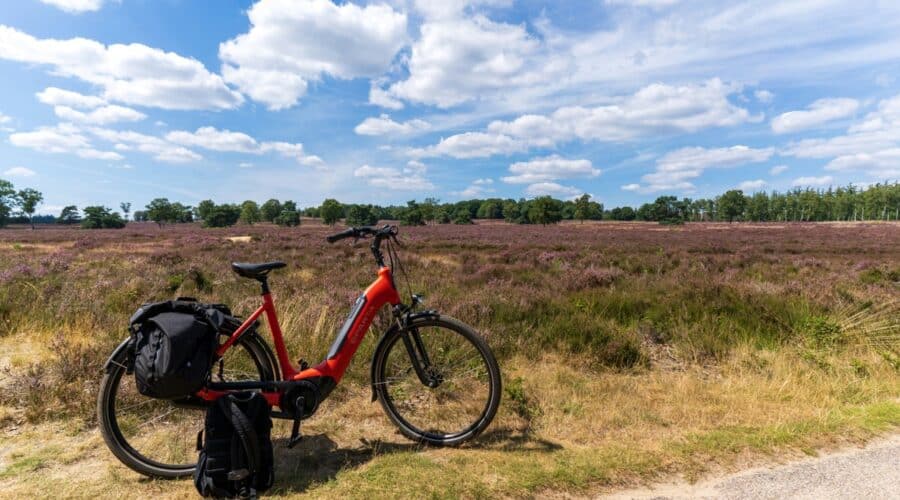 Veluwe: Ultiem puur, wild en tijdloos