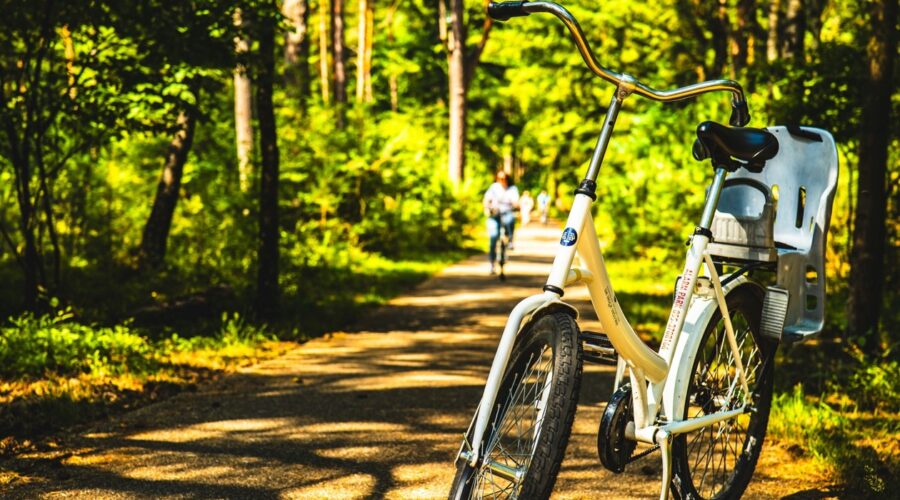 Waarom fietsen in Het Nationale Park De Hoge Veluwe een must is