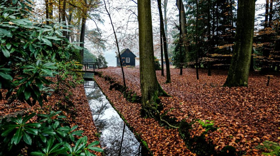 Fietsroute Apeldoorn: Hoe je de mooiste lunchrooms vindt