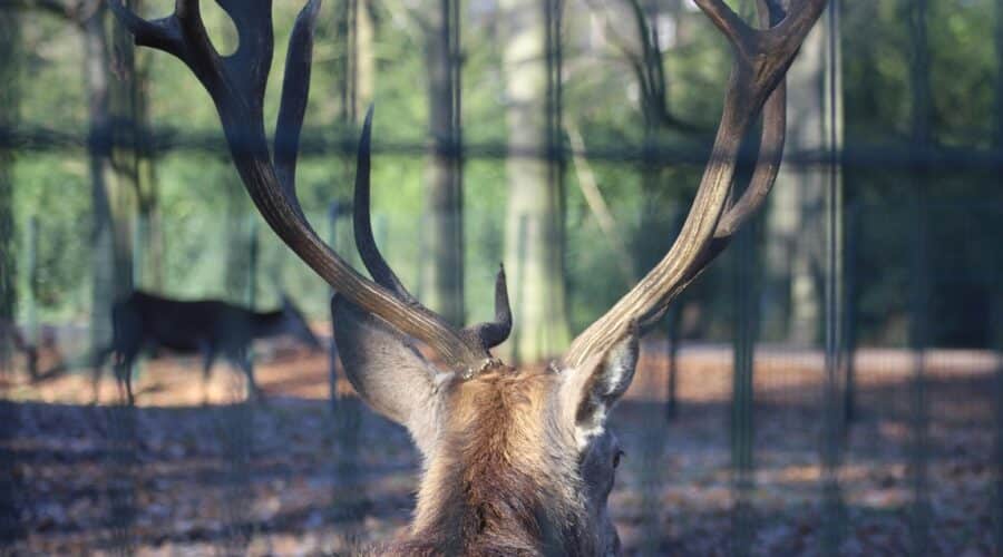 Ontdek de mooiste lunchrooms Almelo: 5 verborgen parels