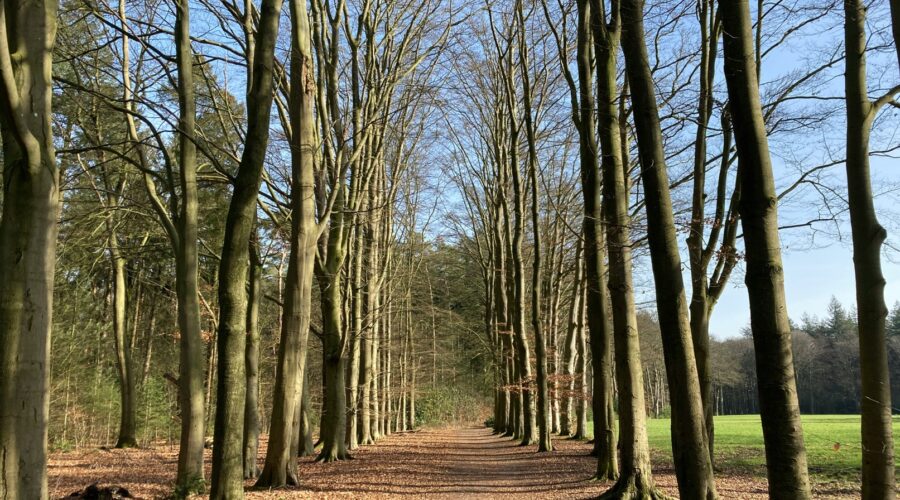 De redenen waarom lunchrooms Enschede je moet bezoeken